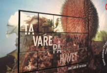 Etter tre år åpnar endeleg vitensenteret