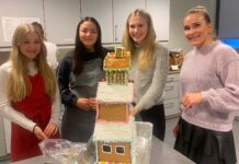 Blindheim stadion i pepperkakeform
