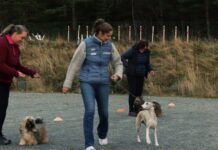 – Hund har blitt den største delen av livet mitt