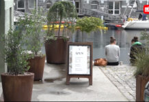 – Derfor vil vi til Ålesund